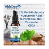 WishCare 2% Hyaluronic Acid Serum with CICA, Ceramide & B5 - Multi-Molecular Face Serum 30 mL