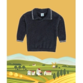 MINIKLUB DARK GREY SWEATER For BABY BOYS - None