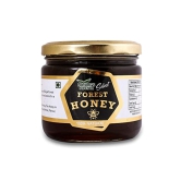 Natures Nectar Forest Honey, 400 Gm