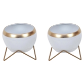 Apple Shape Metal White & Gold Planter (Set of 2)-White & Gold