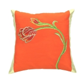 ANS Add a Splash of Color to Your Space with Our Cushion Pillow Hollow Fiber Cushion Pillow cushion covers