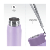 Milton Handy 650 Stainless Steel Water Bottle (690 ml) Purple - Purple