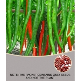 OhhSome Vegetable Seeds Hybrid Green Chilli Vegetable Seeds