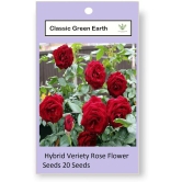 CLASSIC GREEN EARTH - Tube Rose Flower ( 60 Seeds )