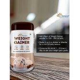 Dr. Morepen Weight gainer 500 gm Chocolate Pack of 2