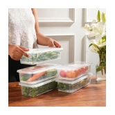 PearlPet Fridge Container Plastic Transparent Multi-Purpose Container ( Set of 6 ) - Transparent