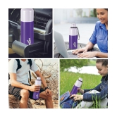 Milton Ancy 500 Thermosteel Water Bottle, 520 ml, Violet | 24 Hours Hot and Cold | Easy to Carry | Rust Proof | Tea | Coffee | Office| Gym | Home | Kitchen | Hiking | Trekking | Travel Bottl