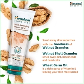 Himalaya Herbals Walnut Scrub, 50Ml