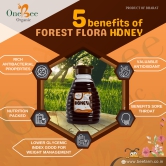 ONE BEE ORGANIC Honey | Forest Flora Honey/Forest Honey | 100% Pure, Natural and Raw Honey - 280 GM.