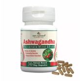 Ashwagandha Vegan Capsule Made with 10:1 Extract | Reduced Stress, Improved Energy & Mental Clarity