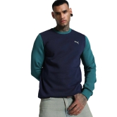 Mens Colorblock Crew-Neck Sweatshirt