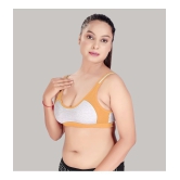 HAYA Multicolor Cotton Non Padded Womens Everyday Bra ( Pack of 2 ) - None