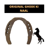 Health Ayurveda - Iron Ghode Ki Naal (Pack of 1)