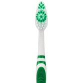 aquawhite Super Clean ( pack of 12) Toothbrush Pack of 12