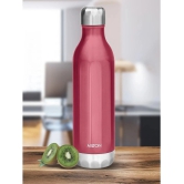 Milton Bliss 600 Thermosteel Hot and Cold Water Bottle, 500 mL (Red) - Red