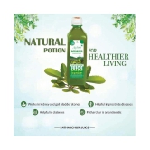 Jeevanras Ras Patharchur Herbal Juice (500 ml) Pack of_2