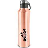 Milton Gulp 1100 Thermosteel 24 Hours Hot or Cold Water Bottle, 940 ml, 1 Piece, Pink - Rose Gold