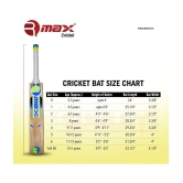 Rmax Plastic Bat, Plastic Cricket Bat Hybrid, Cricket Bat Plastic, Plastic Cricket Bat Hard Plastic, Plastic Bat for Tennis and Wind Ball, Cricket Bat - Full Size