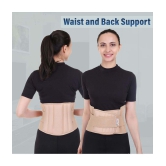 Jarvis Lumbar Sacral (LS) Waist Belt for Men & Women Back Pain Relief, Slip Disc Back / Lumbar Support  (Beige, X-Large) - None