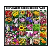 COMBO PACK  OF 30 DIFFERENT TYPE WINTER SUMMER FLOWER PLANT MIX 500+  SEEDS COMBO PACK  WITH COCOPEAT AND USER MANUAL