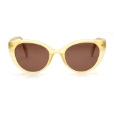 Brown CatEye Sunglasses for Women