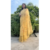 Organza saree