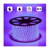 DAJUBHAI 15M/120 LED  Blue Colour LED Rope Strip Light with Free Adapter - Blue