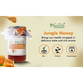 Farm Naturelle-Jungle Flower Wild Forest Honey | 100% Pure Honey |850g+150g Extra and a Wooden Spoon| Raw Natural Unprocessed Honey - Un-heated Honey | Lab Tested Honey In Glass Bottle.