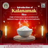 Kalanamak Rice Gold ( High Zinc, More iron, contain Omega 3&6, micronutrients like Anthocyanin and Vitamin) Low Glycemic Index (400gm)