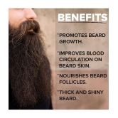 Zorg Organics Promotes Beard Growth Beard Oil ( Pack of 3 )