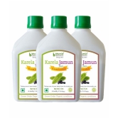 BHUMIJA LIFESCIENCES Karela Jamun Juice  Health Drink Liquid 3 l Pack of 3