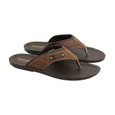 Aerowalk - Brown Mens Thong Flip Flop - None