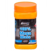 Rikhi 100% Mega Mass (Chocolate Flavour) Powder 500 gm