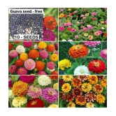 COMBO OF 14 DIFFERENT TYPE FLOWER PLANT SEEDS PACK WITH COCOPEAT AND USER manual MORE THAN 400+ SEEDS PACK FOR HOME GARDENUNG USE