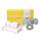 New Baby Gift set - Baby Swaddle, Blanket and Rattle Gift Set