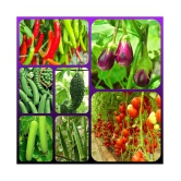 Vegetable Seeds combo - 7 Variety - 65 + seed  with Instruction Manual