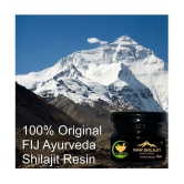 FIJ AYURVEDA Pure Ayurvedic Raw Shilajit/Shilajit Resin (Semi Liquid) Supports Power, Energy & Vitality - 40Gm (Pack of 2)