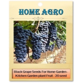 homeagro - Black Grape Fruit ( 20 Seeds )