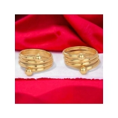 AanyaCentric Gold Toe Rings ( Pack of 1 ) - Gold