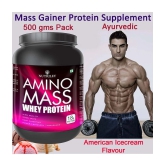 Nutriley Amino Mass Whey Protein ( 500 gm , American Ice Cream - Flavour )