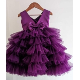 Girls Wine Color Net Party Dress-9-12 Month