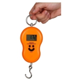 Portable Digital Kitchen Weighing Scales Weighing Capacity - 50 Kg