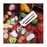 GKBOSS Stainless Steel Vegetable Grater,Fruit Grater ( Pack of 1 ) - Multicolor - Multicolor