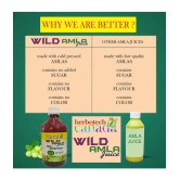 Herbotech Canada WILD AMLA JUICE NATURAL SOURCE OF VIT C, healthy Hair & Skin, Detox juice for weight loss I NO ADDED SUGAR