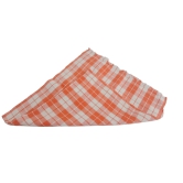 Orange, Green and White Checkered Dish Towel set of 3