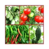 Vegetable Seeds combo for all Season - 40+ seed with Instruction Manual