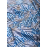 Blue and White Base Ikkat Optical Illusion Design Patola with Kanjivaram Pure Silk Fusion Saree and contrast Red Border | SILK MARK CERTIFIED