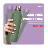 Aivin Crystal Green Steel Water Bottle 750 mL ( Set of 1 ) - Green