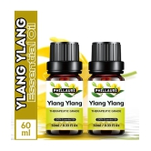 Phillauri Ylang-Ylang Others Essential Oil Fruity With Dropper 60 mL ( Pack of 2 )