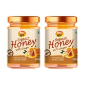 ANP BEE Honey Organic Ginger Honey 250 g Pack of 2